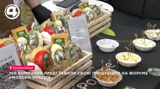 Йогурты, десерты из ревеня, пряники и уральский пармезан можно попробовать в Екатеринбурге