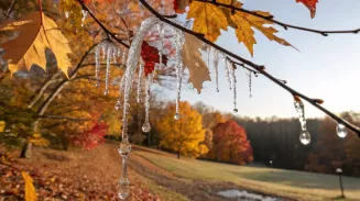 На этой неделе уральцев ждут оттепели и ночные заморозки