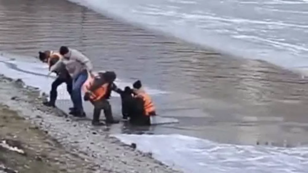 В Академическом прохожие спасли школьника, ушедшего под тонкий лед В Академическом прохожие спасли школьника, ушедшего под тонкий лед