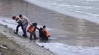 В Академическом прохожие спасли школьника, ушедшего под тонкий лед В Академическом прохожие спасли школьника, ушедшего под тонкий лед