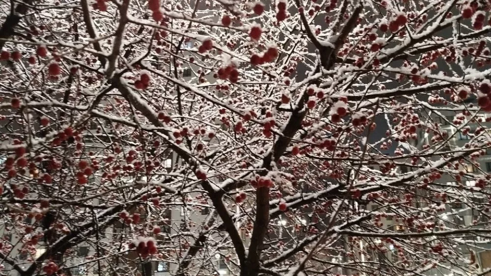 Самую теплую погоду в конце ноября за 14 лет зафиксировали в Екатеринбурге 29 числа