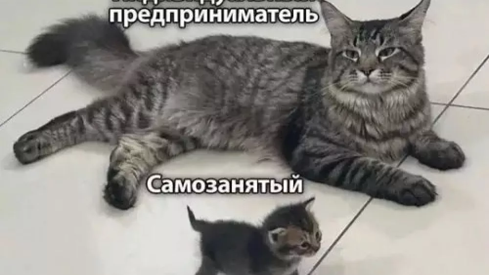 Статус ИП в России могут полностью упразднить