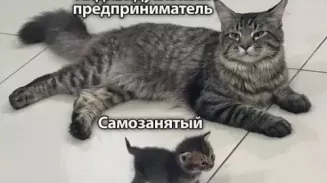 Статус ИП в России могут полностью упразднить Статус ИП в России могут полностью упразднить