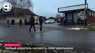 Пьяный водитель насмерть сбил школьницу