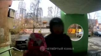 13-летний подросток подозревается в попытке изнасилования 10-летней девочки