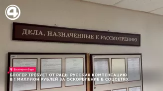 Блогер требует от Рады Русских компенсацию в 1 миллион рублей за оскорбление в соцсетях