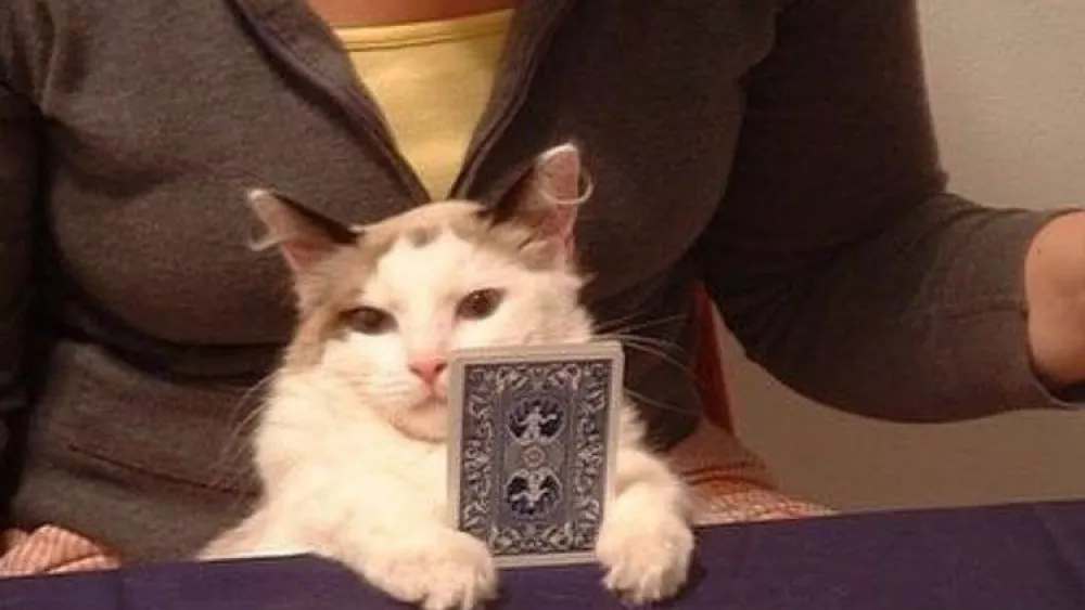 Россияне смогут установить самозапрет на участие в азартных играх с 1 сентября 2026 года Россияне смогут установить самозапрет на участие в азартных играх с 1 сентября 2026 года