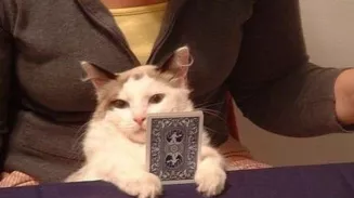 Россияне смогут установить самозапрет на участие в азартных играх с 1 сентября 2026 года 