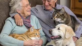 Лишать пенсий тех, кто не работал ни дня, предложили в России