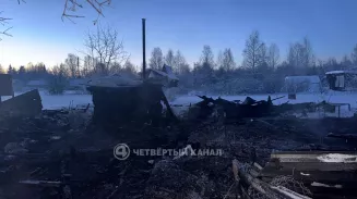 Подростку, обвиняемому в гибели двух детей в пожаре под Серовом, избрали меру пресечения Подростку, обвиняемому в гибели двух детей в пожаре под Серовом, избрали меру пресечения