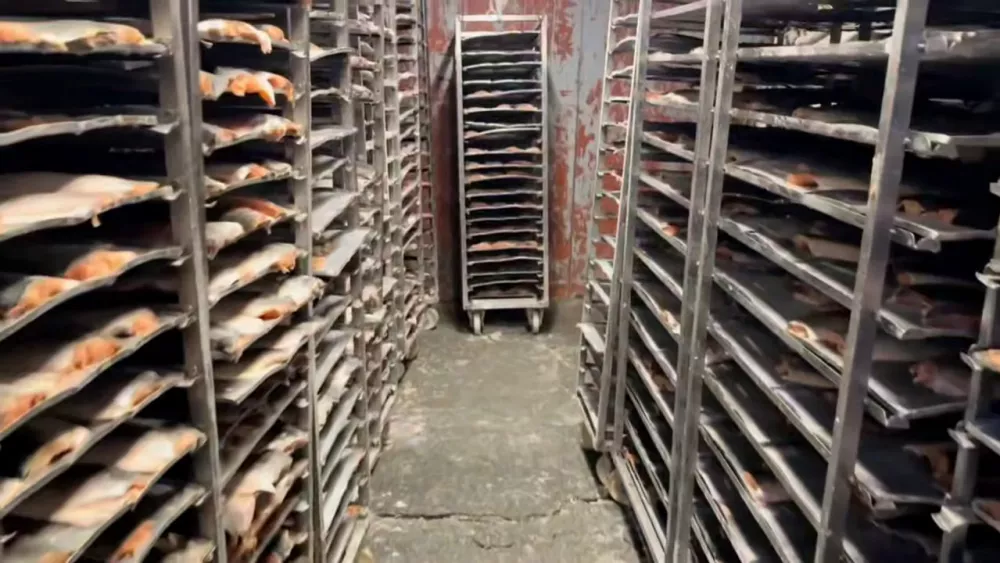 80 нелегалов и кучу тараканов обнаружили на хладокомбинате Екатеринбурга