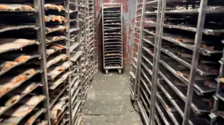 80 нелегалов и кучу тараканов обнаружили на хладокомбинате Екатеринбурга