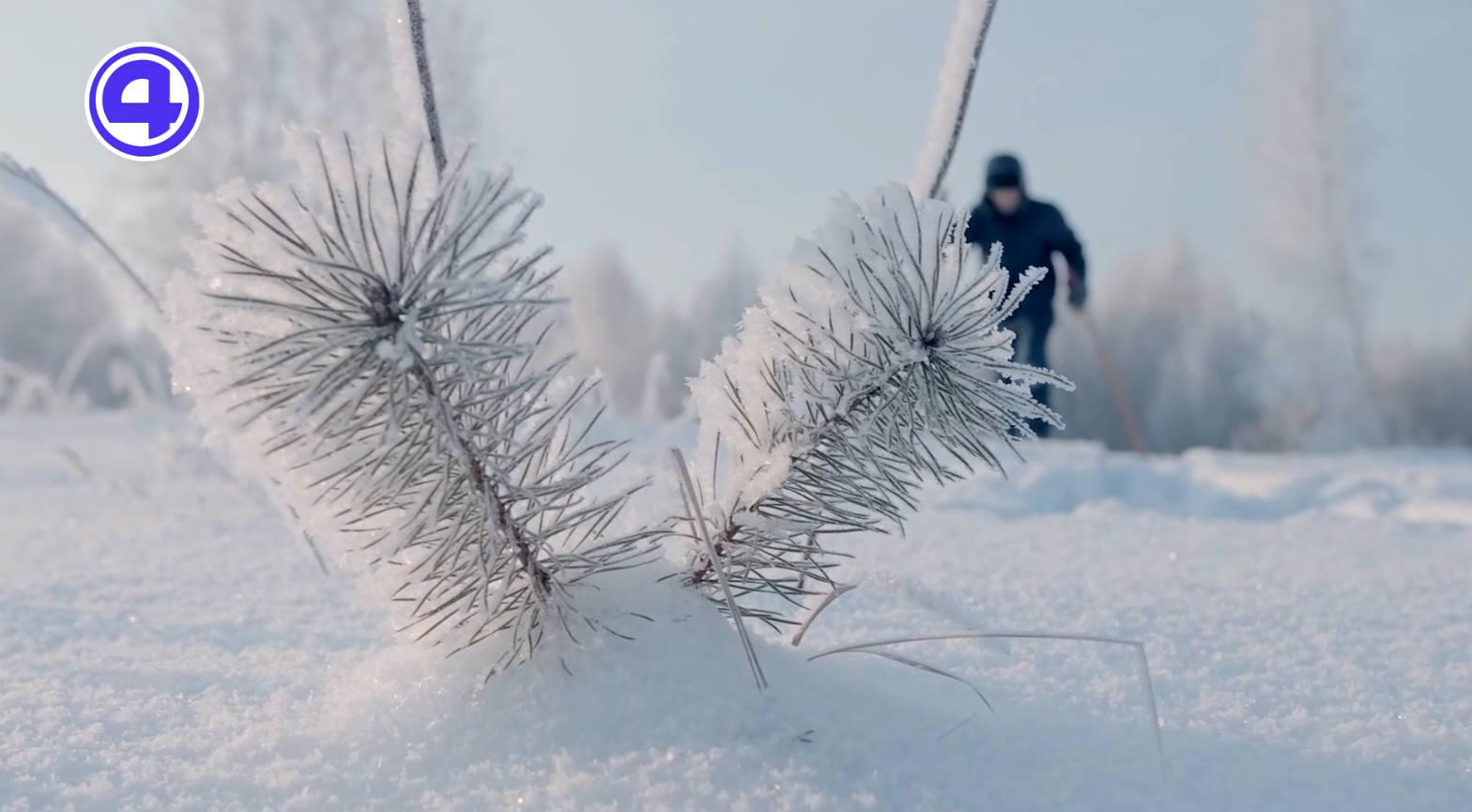 Утренний экспресс от 15.01.2026