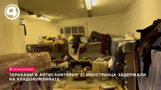 Более 80 мигрантов задержали в стихийном общежитии на территории екатеринбургского хладокомбината