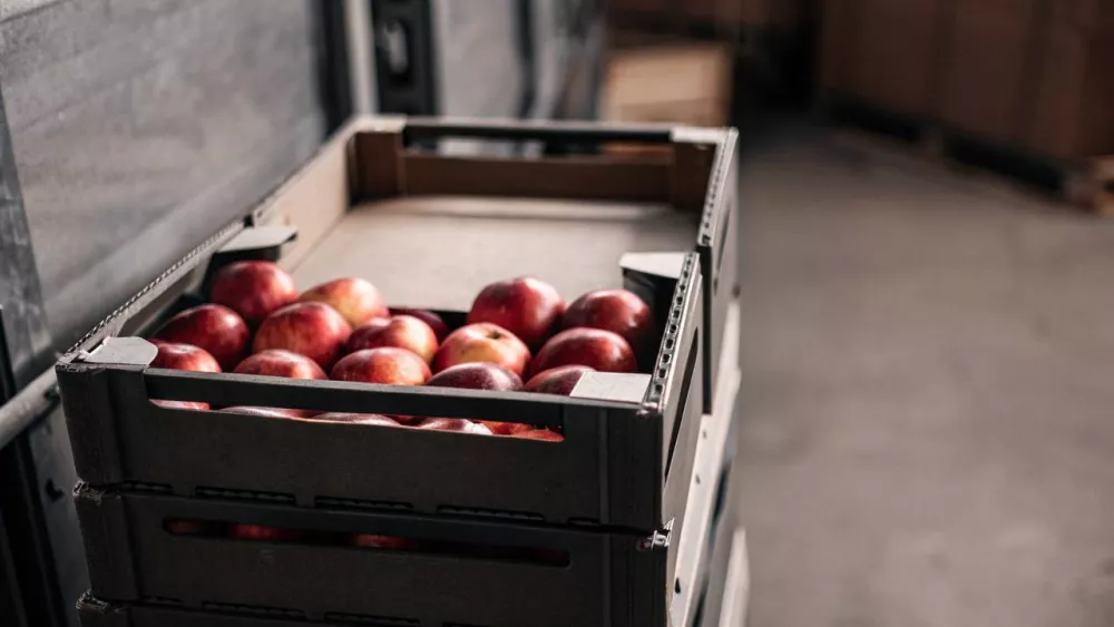 В Свердловскую область за неделю ввезли свыше 900 тонн импортных фруктов и овощей