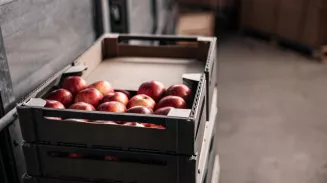 В Свердловскую область за неделю ввезли свыше 900 тонн импортных фруктов и овощей