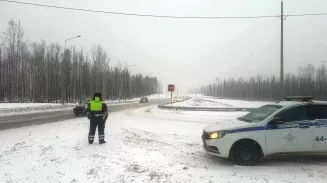 113 аварий за сутки: один человек погиб на дорогах Свердловской области 113 аварий за сутки: один человек погиб на дорогах Свердловской области