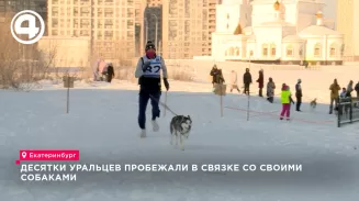 Собаки и хозяева пробежали третий этап зимнего каникросса в Екатеринбурге на морозе -30 Собаки и хозяева пробежали третий этап зимнего каникросса в Екатеринбурге на морозе -30