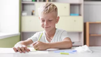 Формат домашних заданий из-за ИИ предложили пересмотреть в Госдуме