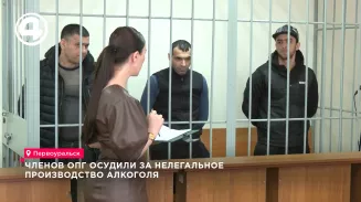 Трое жителей Первоуральска получили сроки за изготовление суррогатного алкоголя