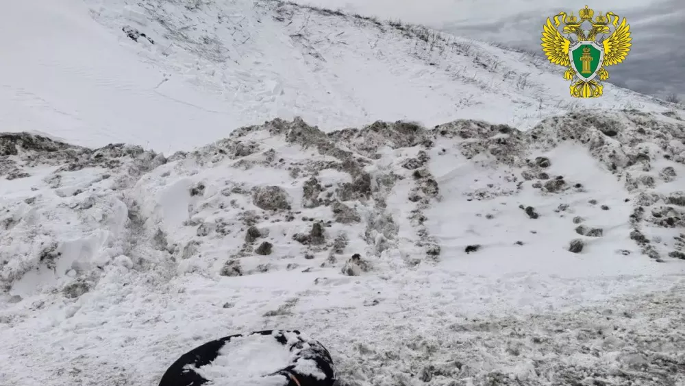Прокуратура проверяет гибель двух мальчиков 8 и 9 лет из-за схода снега в Шалинском районе