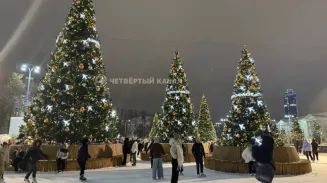 Почти 60 тысяч человек посетили каток на площади 1905 года