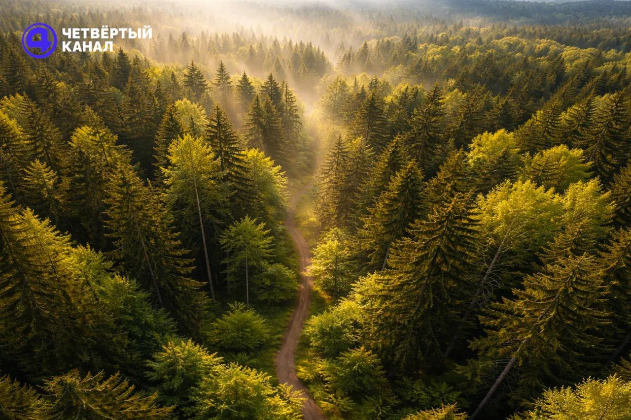 Упала с 10-метровой высоты из-за развязавшейся страховки: год условно получил организатор турпохода, в котором пострадала школьница