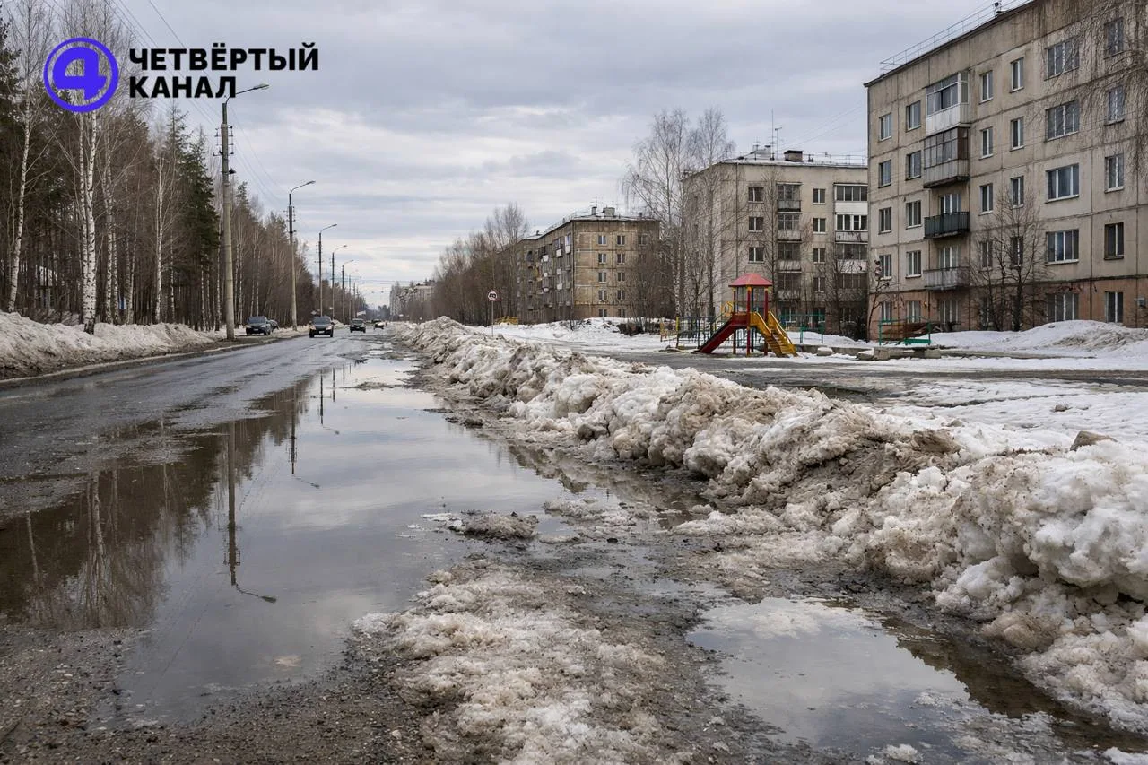 Тепло придет в Свердловскую область уже завтра: синоптики обещают плюс