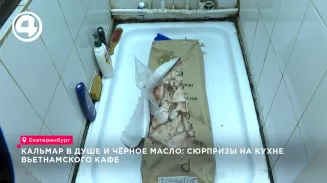 Кальмар в душе и персонал в обеденном зале: общественники нагрянули с проверкой во вьетнамское кафе