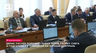 «Не дай Бог что-то произойдёт»: Денис Паслер поручил главам срочно заняться снегом и паводками