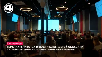 Психологи, врачи и многодетные родители дали советы молодым семьям на форуме в Екатеринбурге
