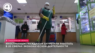 Иностранцам запретили работать в 20 сферах Свердловской области
