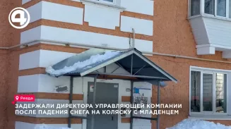 Директора УК задержали в Ревде после падения снега на коляску с младенцем