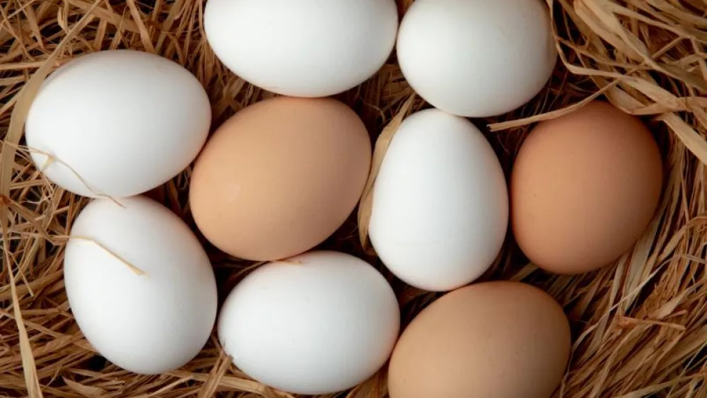 Рост цен на яйца и молоко в России проверит ФАС