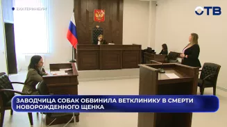 Заводчица собак обвинила ветклинику в смерти новорожденного щенка Заводчица собак обвинила ветклинику в смерти новорожденного щенка