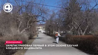 Зарегистрирован первый в этом сезоне случай клещевого энцефалита