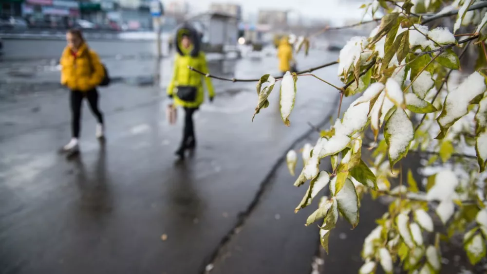 Синоптики спрогнозировали заморозки в середине и конце недели в Свердловской области Синоптики спрогнозировали заморозки в середине и конце недели в Свердловской области