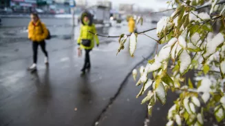 Синоптики спрогнозировали заморозки в середине и конце недели в Свердловской области Синоптики спрогнозировали заморозки в середине и конце недели в Свердловской области