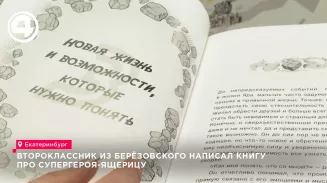 Второклассник из Берёзовского написал книгу про супергероя-ящерицу Второклассник из Берёзовского написал книгу про супергероя-ящерицу