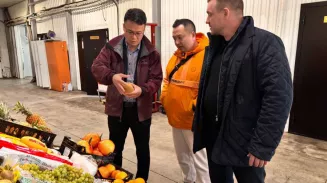 Сезонные овощи и фрукты из Китая начнут поставлять в магазины Свердловской области Сезонные овощи и фрукты из Китая начнут поставлять в магазины Свердловской области