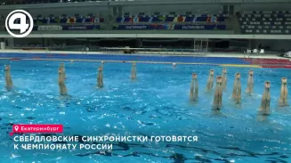 Свердловские синхронистки готовятся к чемпионату России