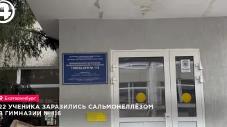 22 ученика заразились сальмонеллёзом в гимназии № 116