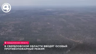 В Свердловской области вводят особый противопожарный режим