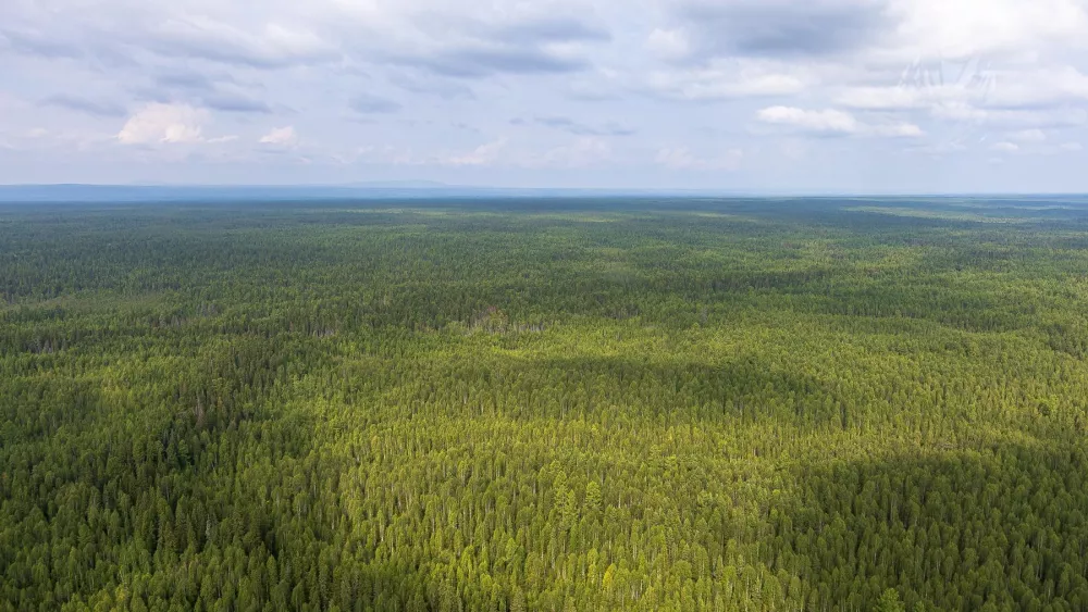 На этой неделе в Среднем Урале обещают стабильную погоду