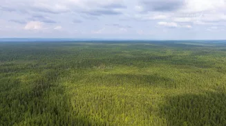 На этой неделе в Среднем Урале обещают стабильную погоду