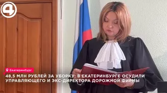 48,5 млн рублей за уборку: в Екатеринбурге осудили управляющего и экс-директора дорожной фирмы