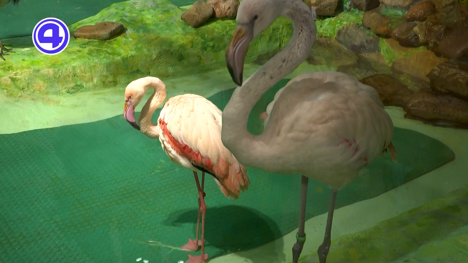 Утренний Экспресс от 28.04.26: совет на все случаи жизни