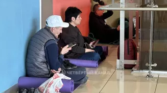 Аэропорт Кольцово снял ограничения на приём и выпуск самолётов