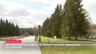 По газонам не ходить: в парках начали обработку от клещей