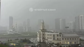 Удалёнку при плохой погоде предлагают закрепить на законодательном уровне